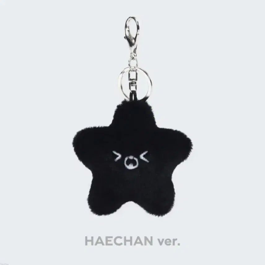 nct127 해찬 흑가사리 별가사리 햇가사리 탄 가사리 별 인형 키링