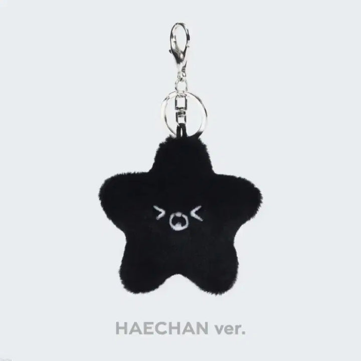nct127 해찬 흑가사리 별가사리 햇가사리 탄 가사리 별 인형 키링
