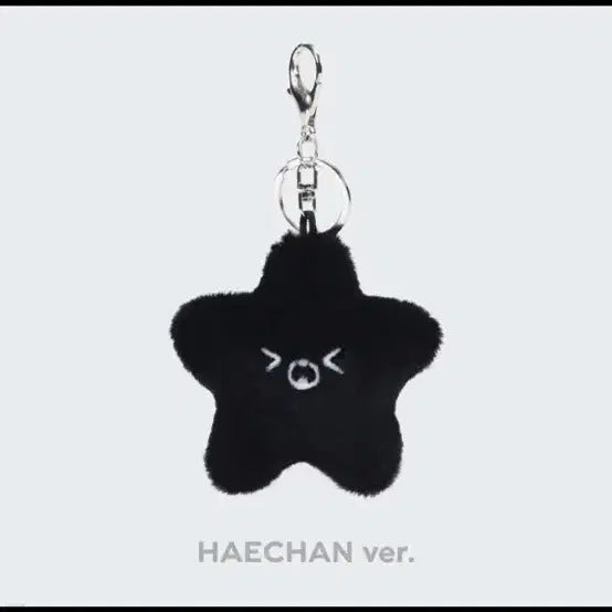 nct127 해찬 흑가사리 별가사리 햇가사리 탄 가사리 별 인형 키링
