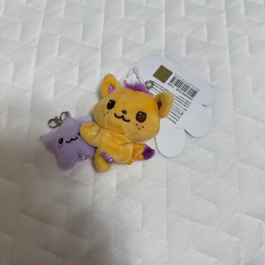 엔시티위시 시온 로그인엠디 일괄양도