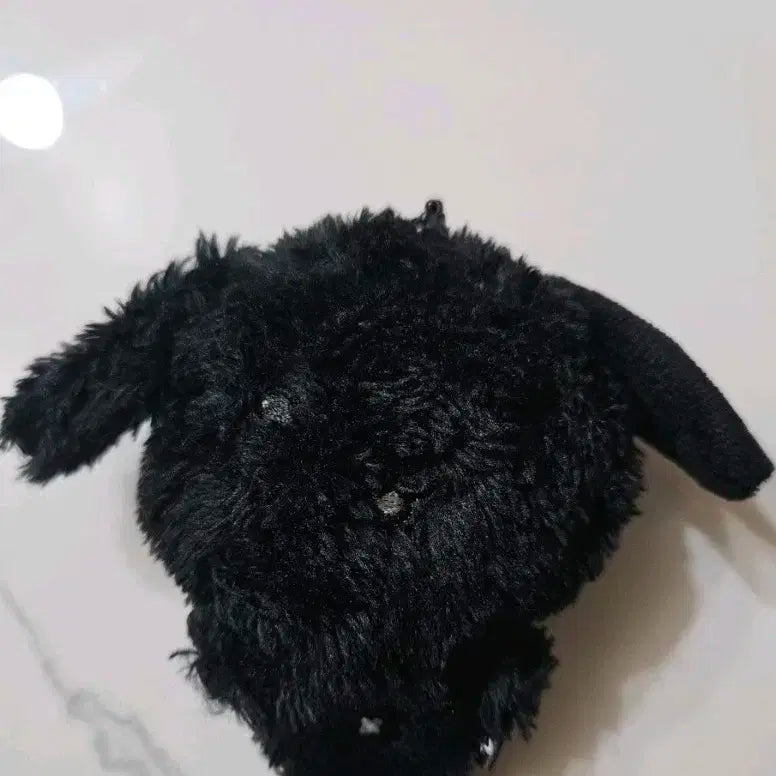 위시 팝업 랜덤 컬러 위시돌 룐룐 시크릿 양도 료