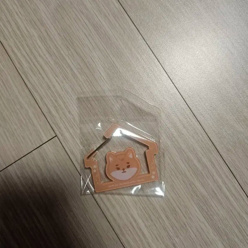 데이식스 팝업 카라비너 케 팝니다