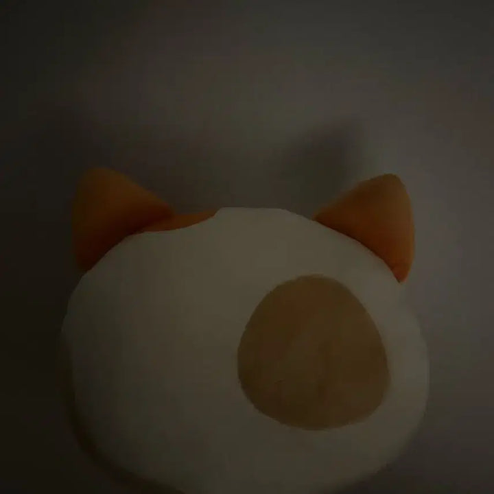 보이넥스트도어 성호 캣삐