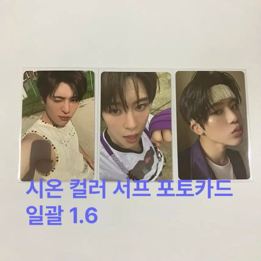 엔시티위시 시온 컬러 서프 포토카드 일괄