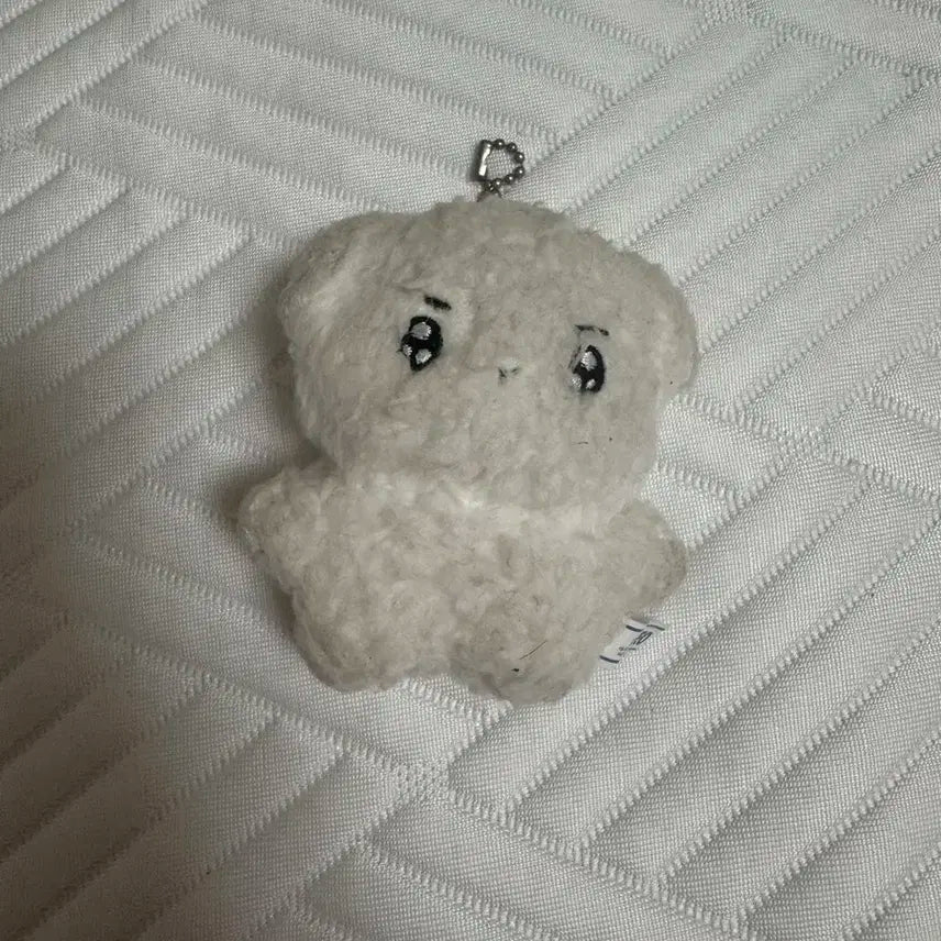 더보이즈 영훈 인형 빵꼬미