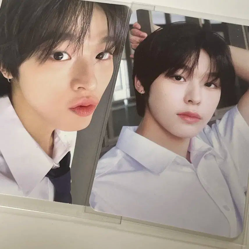 리쿠 스쿨오브위시 트레카 일괄