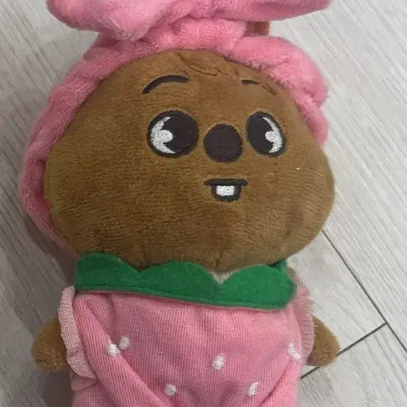 스키즈 스키주 매직스쿨 한쿼카