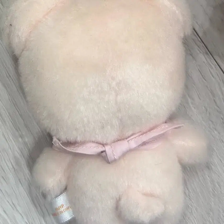 스키즈 스키주 콩키주 5 CLOCK 퍼핌