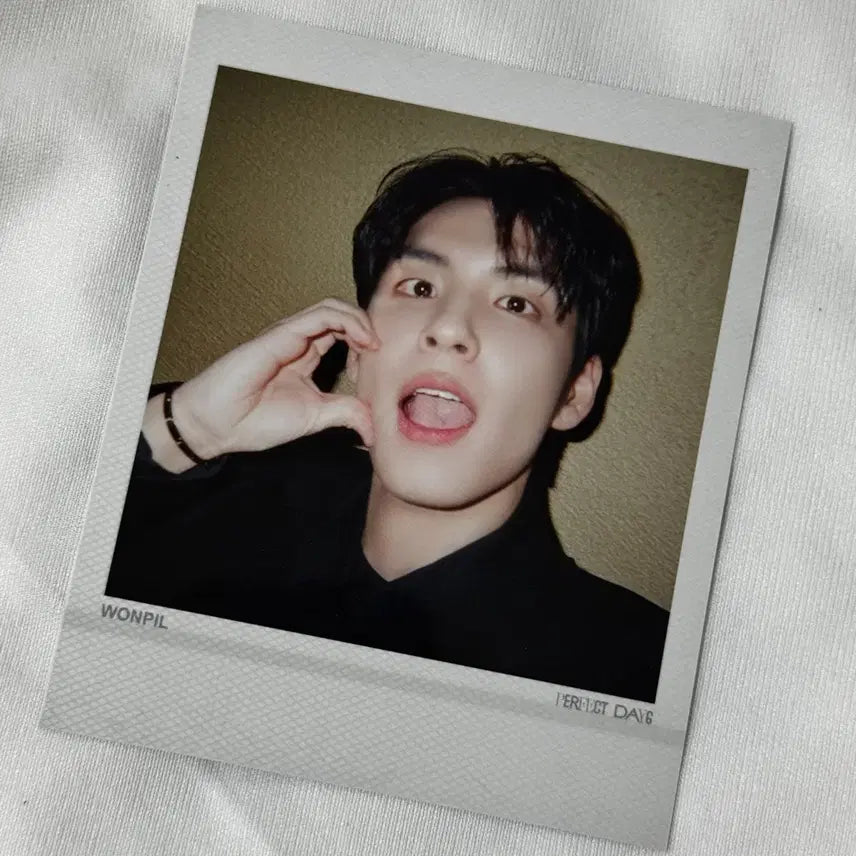 데이식스 디아이콘 B타입 원필 폴라로이드