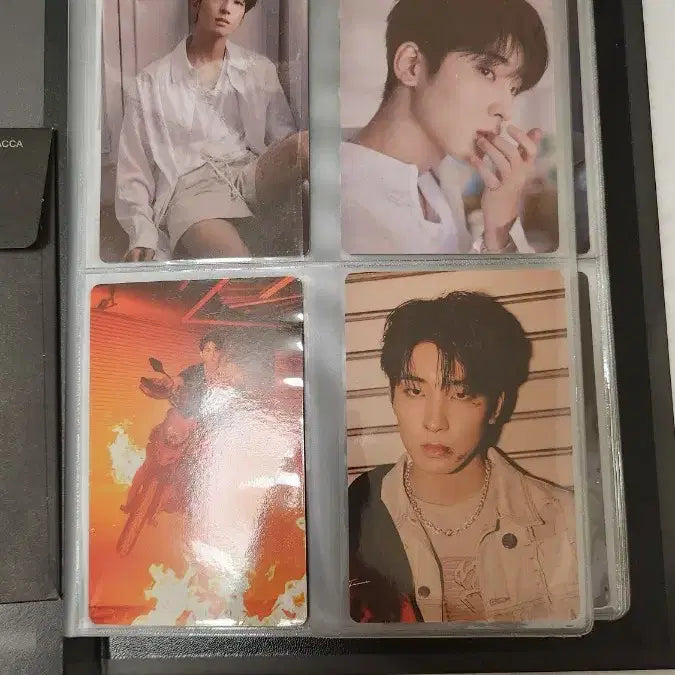 세븐틴 Attacca 원우 캐럿반 양도