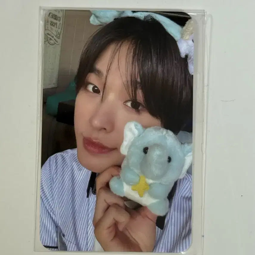 애버랜드 입장포카 리쿠 엔시티위시 포토패스 에버위시