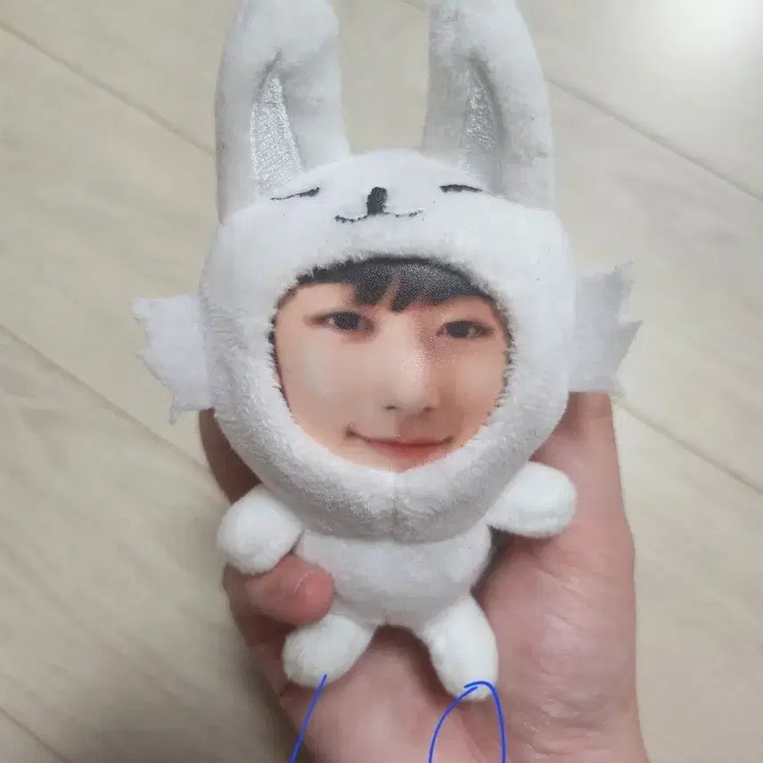 더보이즈 주연 포토톡 인형 양도합니다! 굿즈포토인형무료나눔여우포카