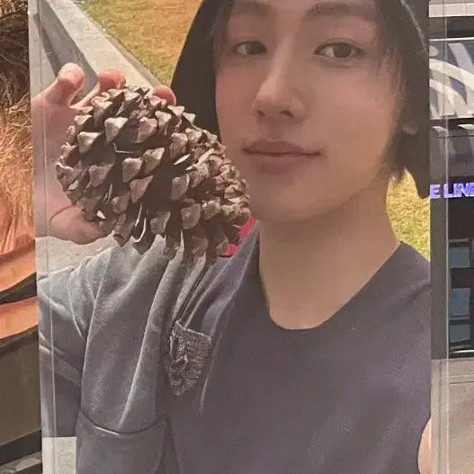 코르티스 성현 위버스 특전 포카 포토카드