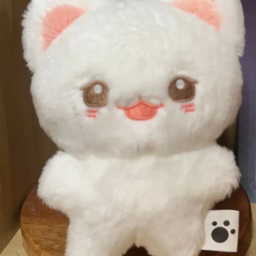 솜베원(솜매튜