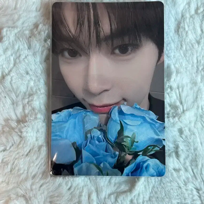 성한빈 제베원 our 케이크 포카