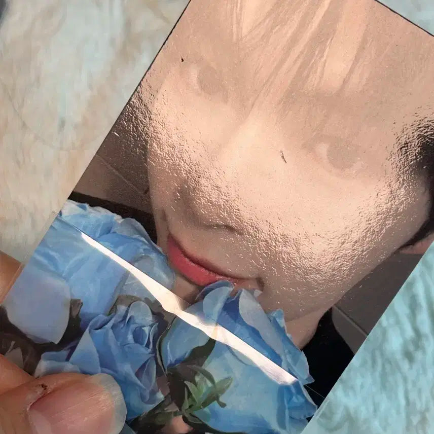 성한빈 제베원 our 케이크 포카