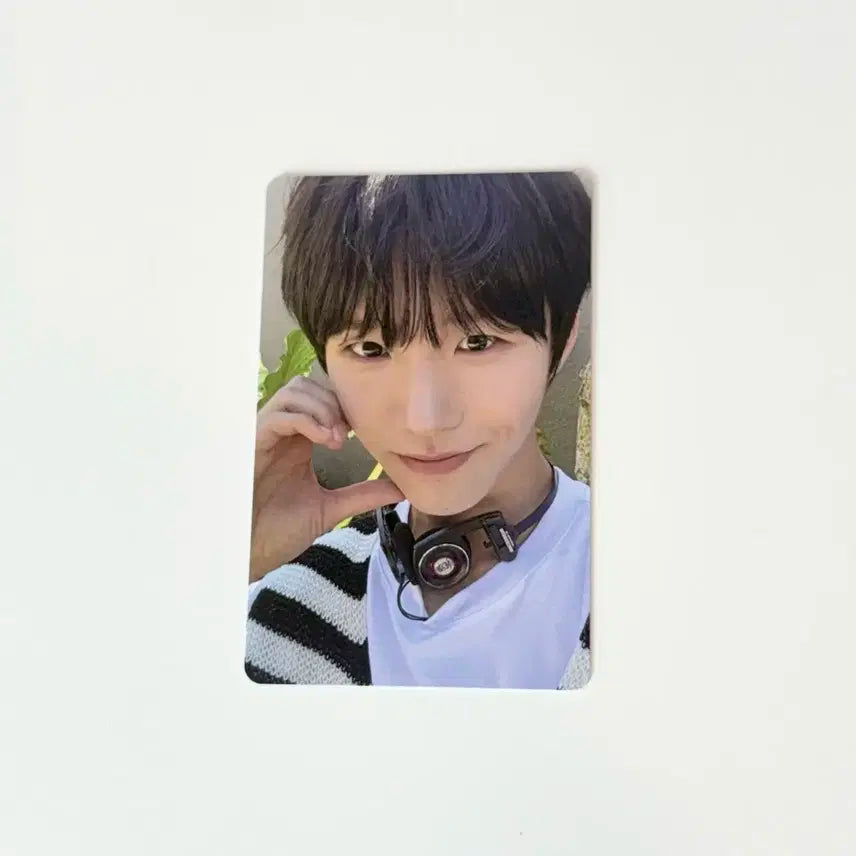 엔시티 위시 컬러 서프 재희 대영 포카 포카 양도합니다 !