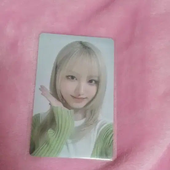 아이브 리즈 파파존스 포카
