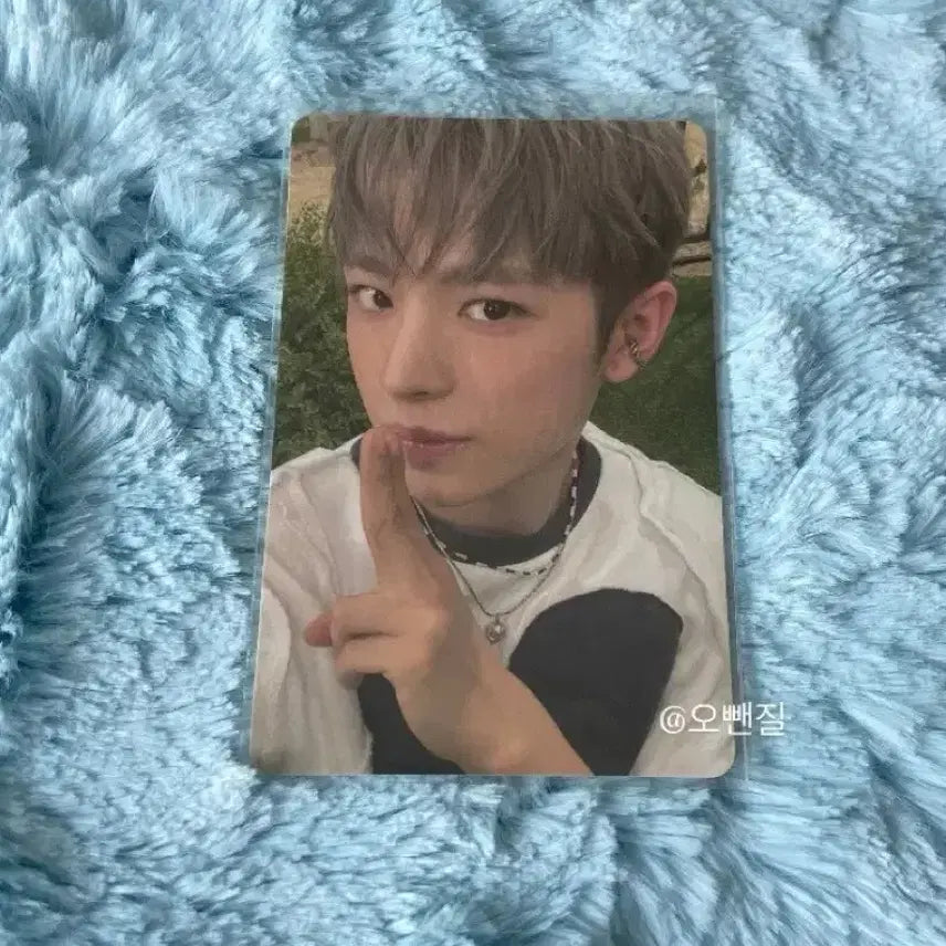 엔시티위시 컬러 쥬얼 유우시 앨포 양도