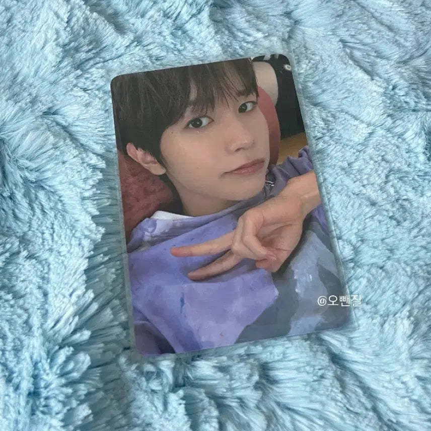 엔시티위시 컬러 에버라인 료 양도