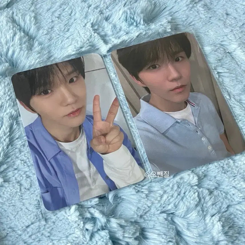 엔시티위시 팝팝 컬러 재희 포카 일괄 양도