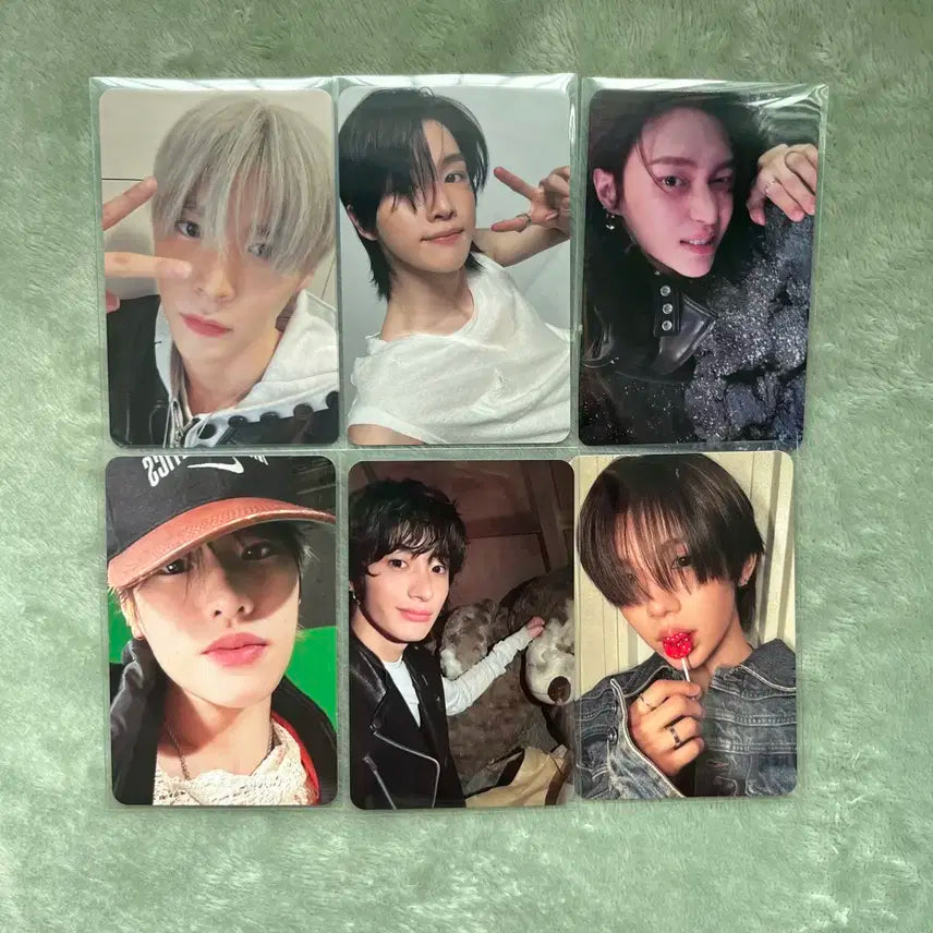 라이즈 오디세이 포카 6장 세트 일괄