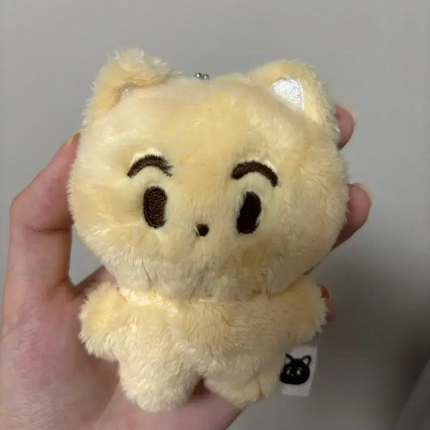 NCT 마크 인형 애옹이