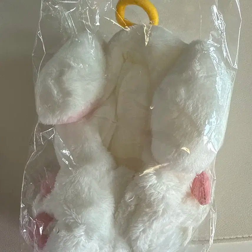 데이식스 데니멀즈 천사옷