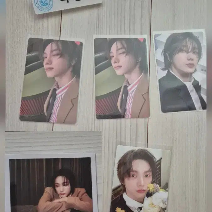 보넥도 성호 포카 일괄