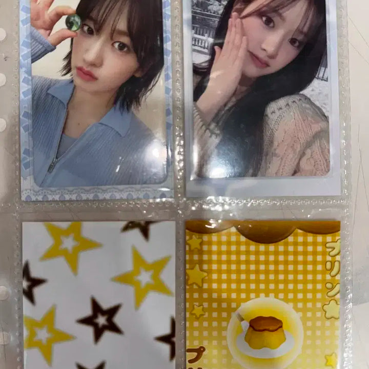 아이브 포카