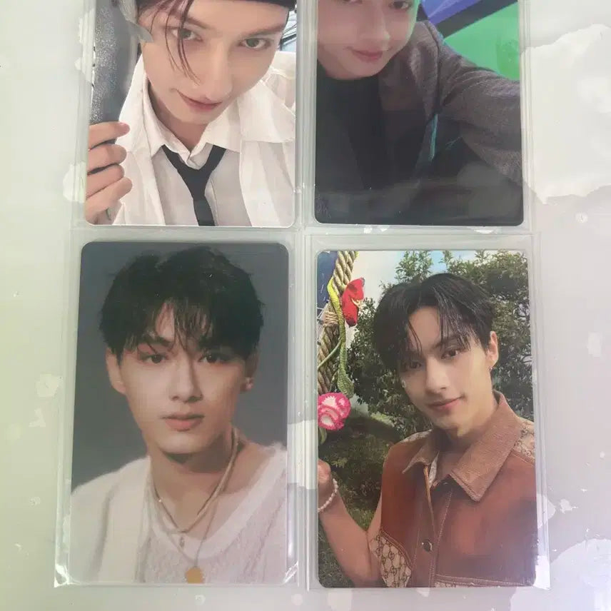 세븐틴 준 포카 일괄판매