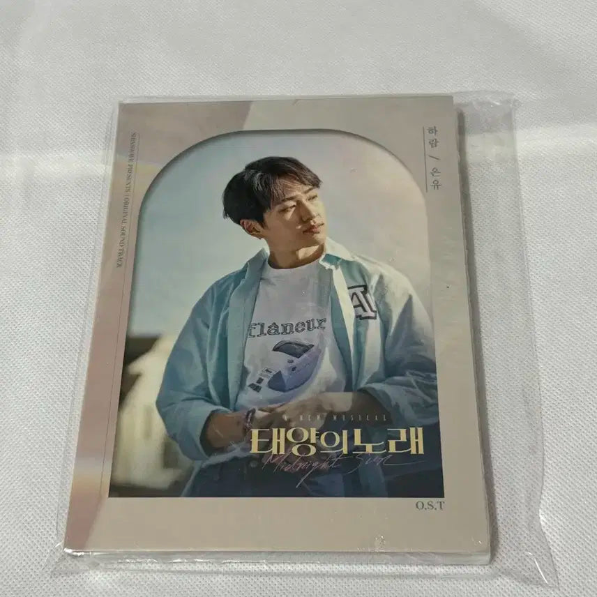 태양의노래ost 샤이니 온유버전