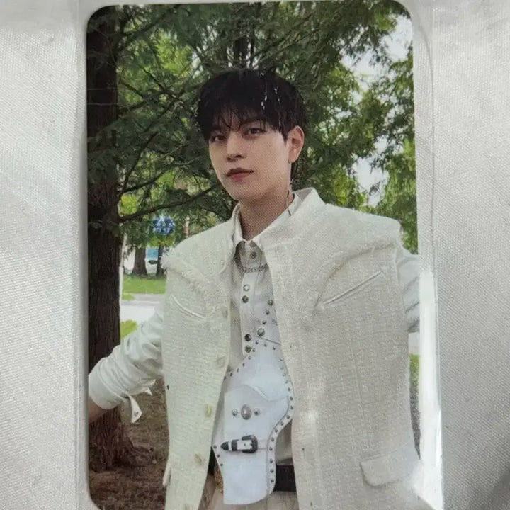 스트레이키즈 스키즈 가관즈 포카 set 리노 승민