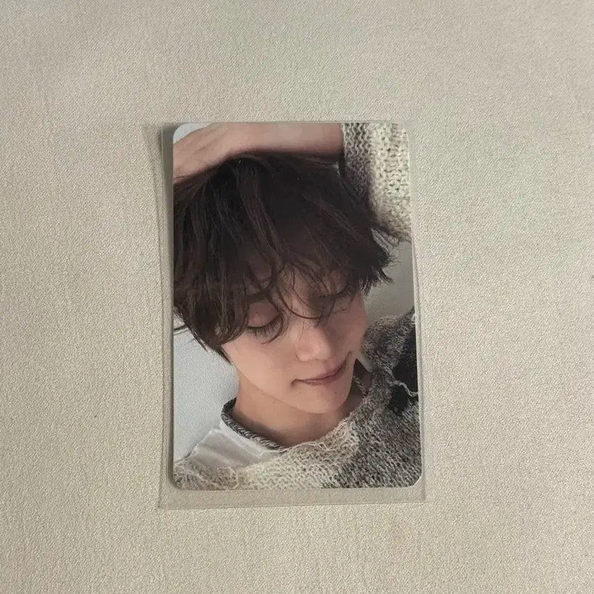 엔시티 위시 스테디 앨범 포카 시온