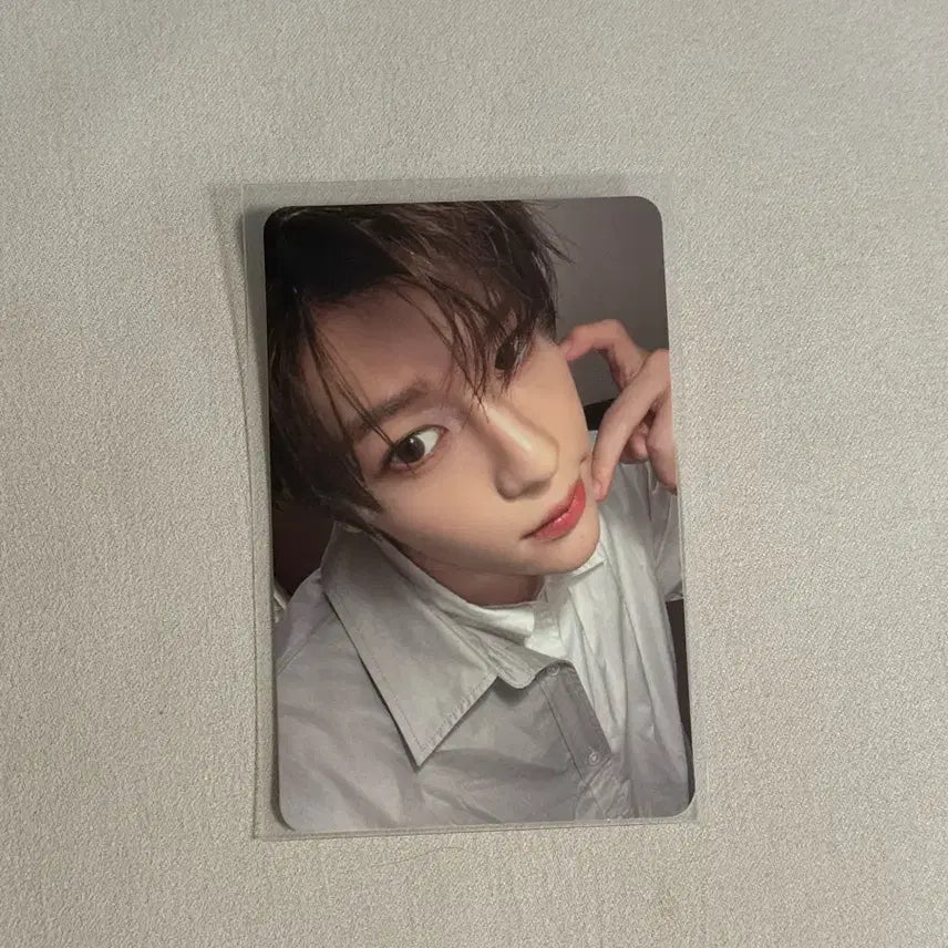 엔시티 워시 스테디 트레카 포카 시온