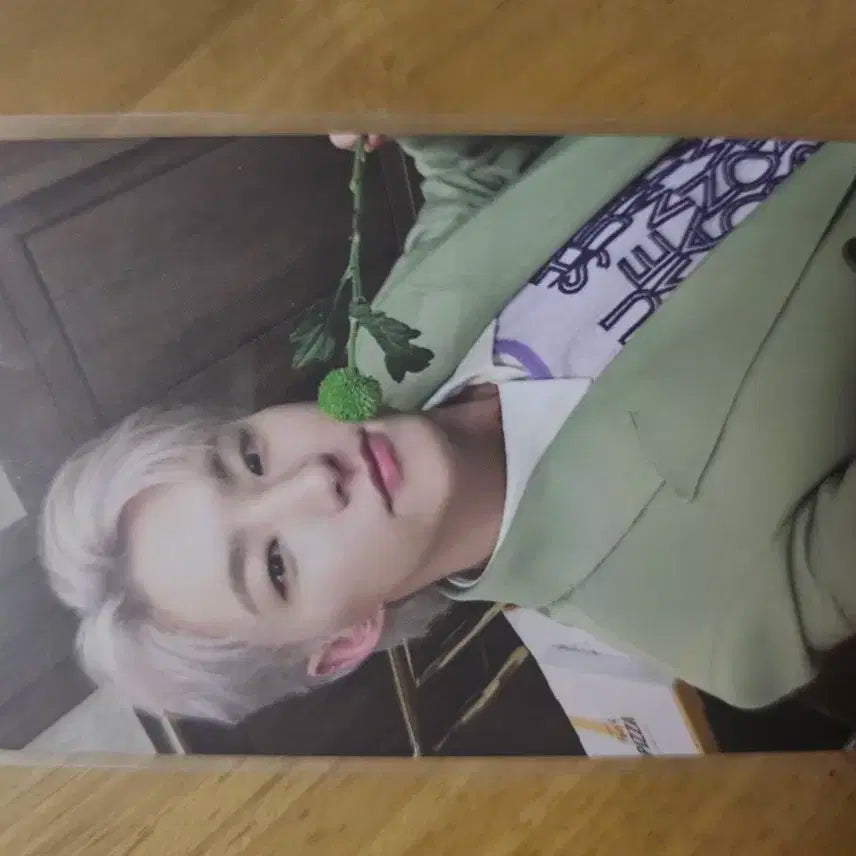 세븐틴 호시 spill the feels 캐럿반 포토카드