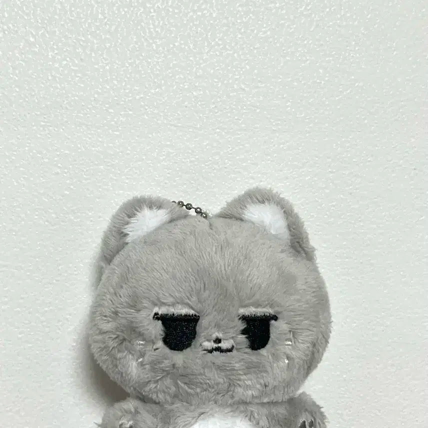 제베원 김지웅 인형 웅냐냥 양도