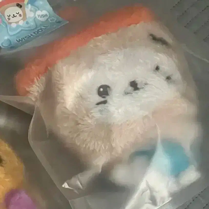 엔시티위시 위시돌 유우시 버블냥