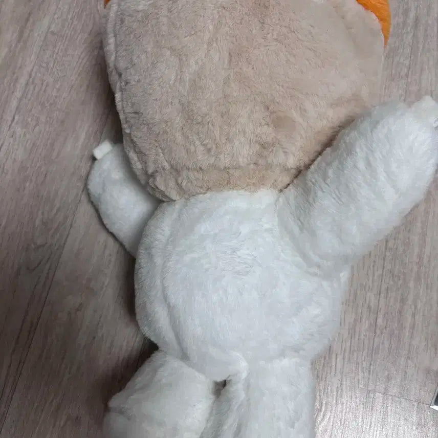 nct wish 위시 유우시 버블냥 위시돌 가방