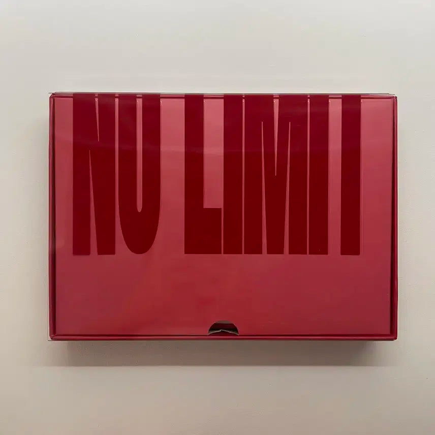 탈덕처분) 몬스타엑스 노리밋투어 개봉 키트 비디오