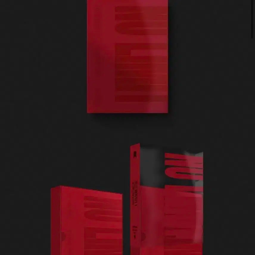 탈덕처분) 몬스타엑스 노리밋투어 개봉 키트 비디오