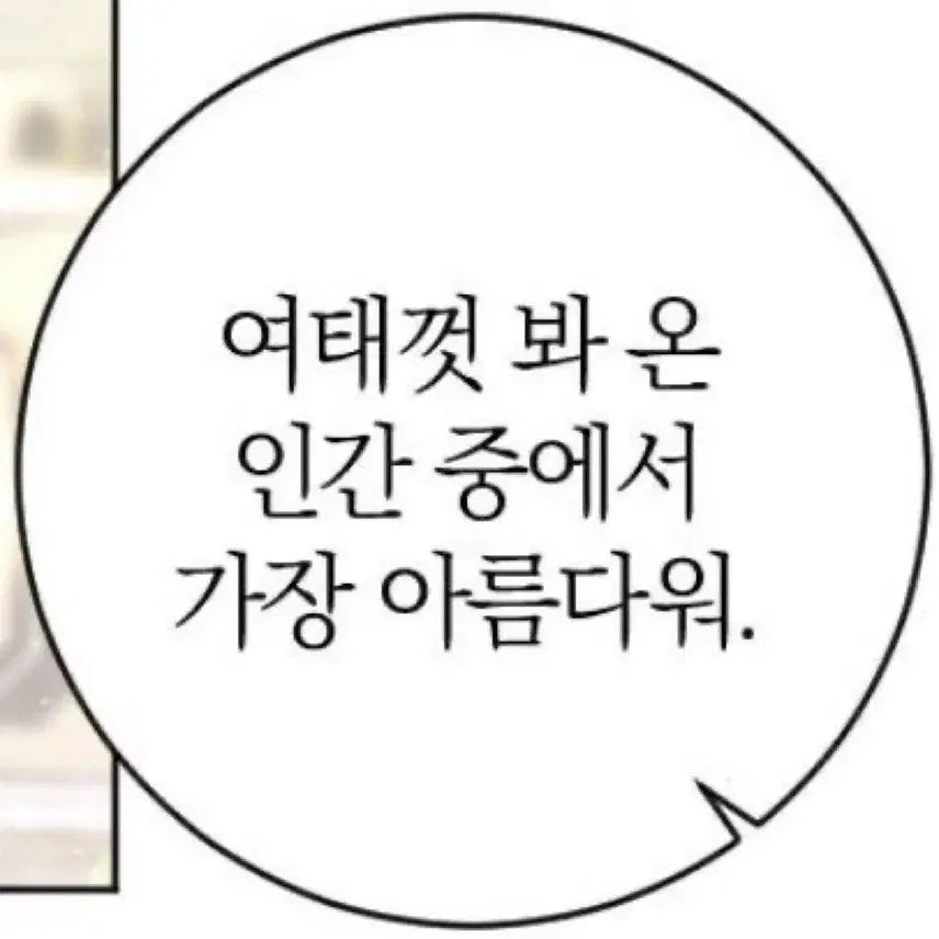 폭덤/공굿덤/급처) 세븐틴 정한 고양콘 캐럿존