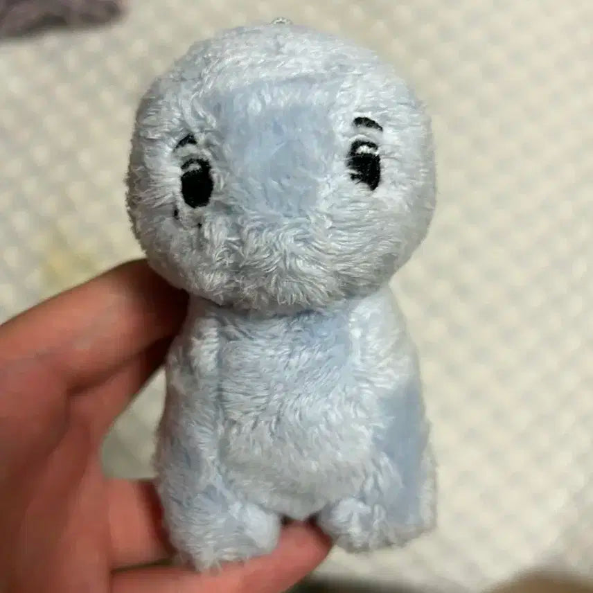 라이즈 앤톤 앤토뇽