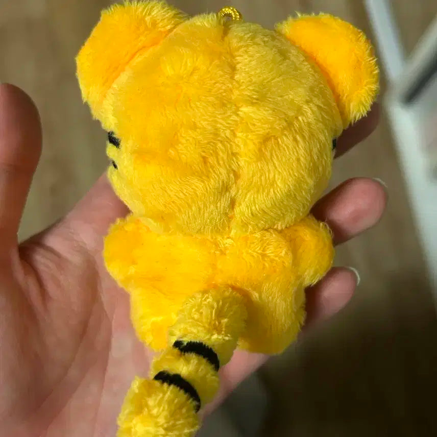 트와이스 채영 챙랑이