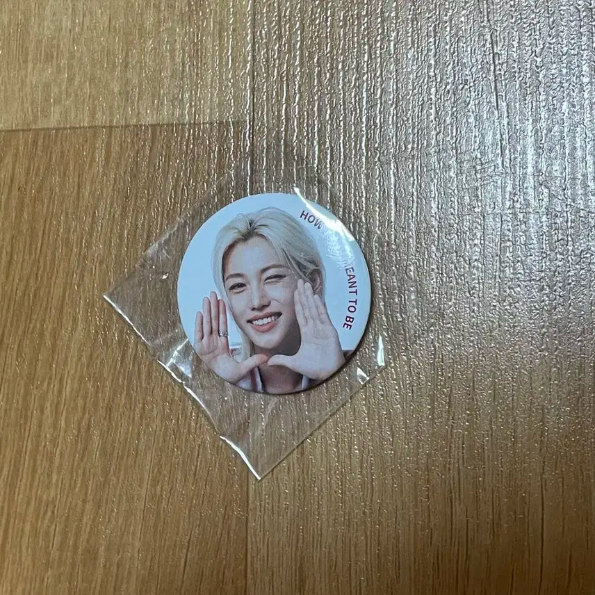 스트레이키즈 필릭스 공차 뱃지