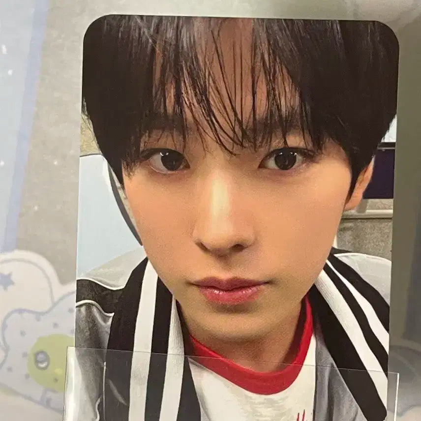 엔시티 위시 전시회 엠디 미니위츄 날개키링 유우시 5만원포카 미개봉 일괄