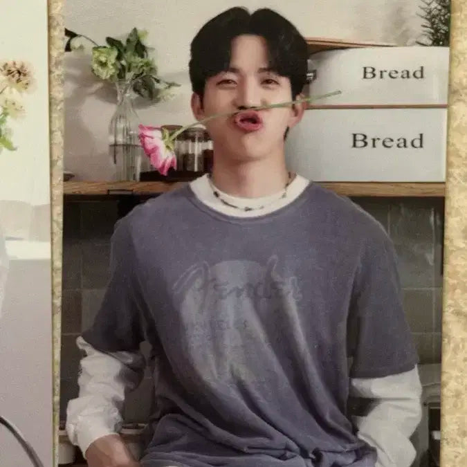 데이식스 포에버 쪼끄만 앨범