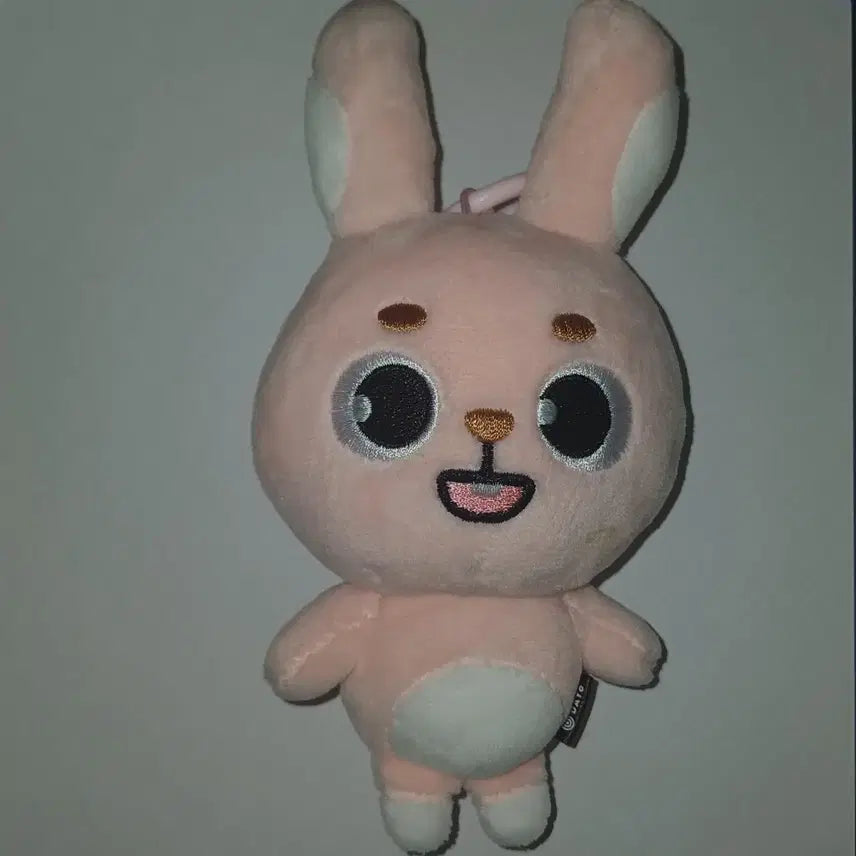 데이식스 데니멀즈 2024필끼