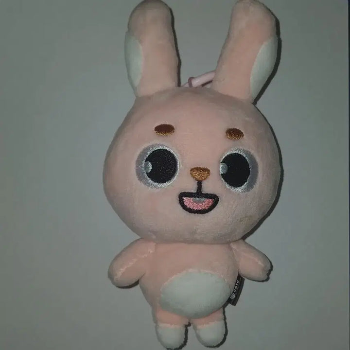 데이식스 데니멀즈 2024필끼