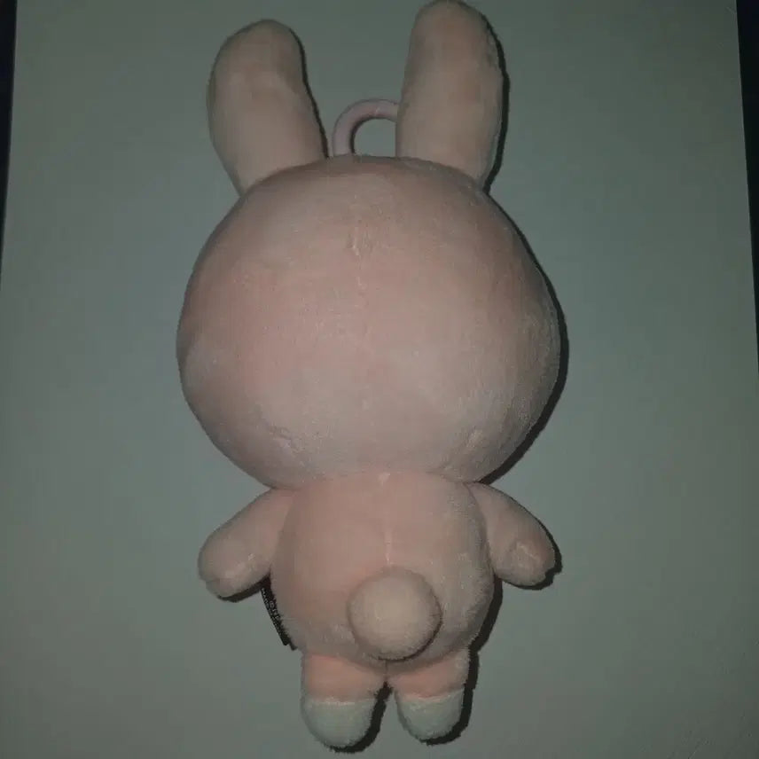 데이식스 데니멀즈 2024필끼